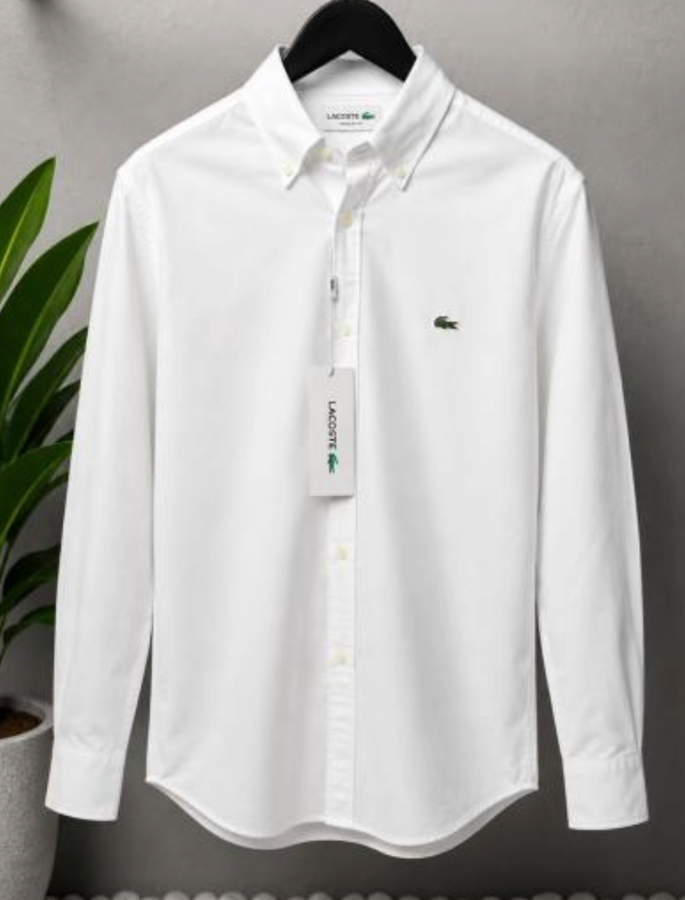Lacost Premium Oxford Shirt. (Copy)