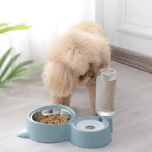 2 in 1 Automatic Pet Feeder Bowl with Water Dispenser Bottle and Stainless Steel Food Bowl for Dogs and Cats
